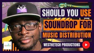 SHOULD I USE SOUNDROP FOR MUSIC DISTRIBUTION | MUSIC INDUSTRY TIPS