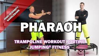 Pharaoh - Jumping® Fitness [HIGH INTENSITY]