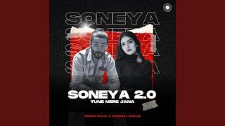 Soneya 2.0