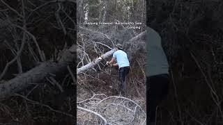 Chopping Firewood: The Ultimate Solo Camping Experience