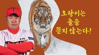 호랑이는 굶어죽을지언정 풀을 뜯지 않는다! 잇몸야구 KIA의 저력 살펴봤습니다 #베이스볼투나잇 2025.06.22