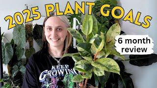 Houseplant Journey 🪴6 Months of Growth, Mistakes & Progress