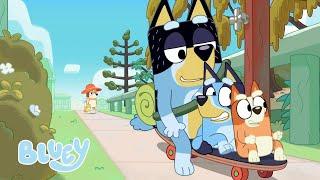 Bluey 1. Sezon Tam Bölümleri | Bluey Türkçe Resmi Kanal