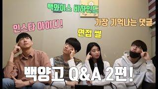 다시 돌아온 백양고 Q&A 2탄! | 어하루 + fancy팀