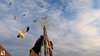 Decoying Snow Geese CLOSE! | Afternoon Field Goose Hunting