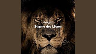 Stimme des Löwen