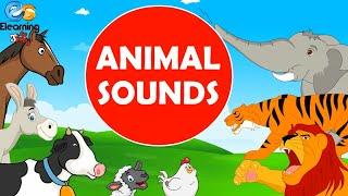 Animal Sounds For Children | E-Learning Studio