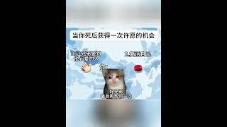 一举两得#猫meme #猫meme小剧场  #cat #故事 #funny  #貓 #搞笑 #pets  #迷恋 #寵物 #萌宠  #animals