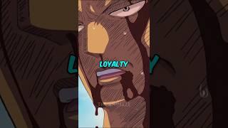 How Zoro Became Most Loyal | onepiece | #anime #onepiece #shorts