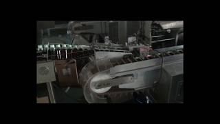 Vertical type cartoning machine for bottle