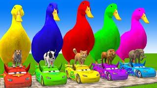 5 Giant Duck Cartoon,Cow,Elephant,Giraffe,Tiger,Lion, Paint Wild Animals Crossing Fountain Animation