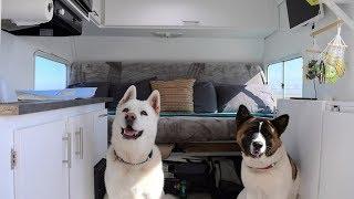 Perros Viajeros | La Realidad de Viajar y Vivir Con Perros!