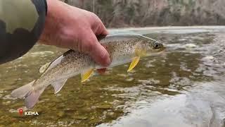 Приморье. Поехали! Реки и водоёмы Приморья.