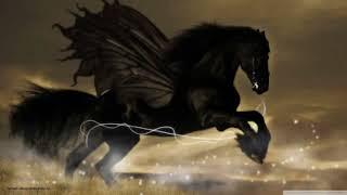 Beautiful Black Horse Wallpaper Images