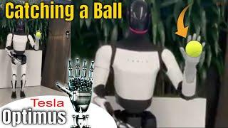 Tesla Optimus Robot Catching a Ball