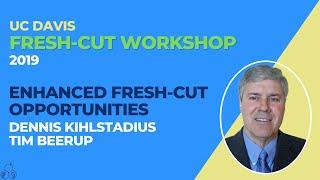 FRESH-CUT | 06 - Enhanced Fresh-cut Opportunities | Dennis Kihlstadius - Tim Beerup