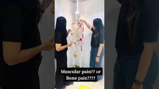 Personalized Non-Surgical Treatment at Aalayam Rehab Care