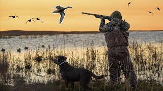 NEBRASKA DUCK HUNTING 7 Man Limit