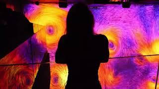 Immersive Art Experience by MELT