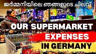 Supermarket Expenses in Germany - How Much Shall It Cost? | German Supermarket Tour | Malayalam Vlog