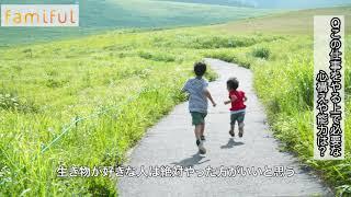 【Famiful お仕事図鑑】養蜂家