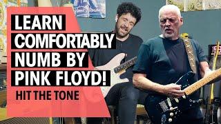 Hit the Tone  | Comfortably Numb by Pink Floyd (David Gilmour) | Ep. 60 | Thomann