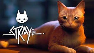 [스트레이] 고양이가 되어 세상을 구하는 게임 (Stray)