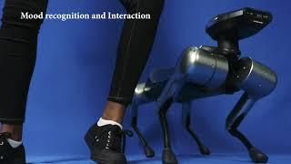 Koda Robot Dog and the exploration of a Robot Guide Dog