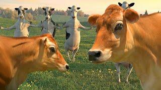 FUNNY COW DANCE 7 │ Cow Song & Cow Videos 2021