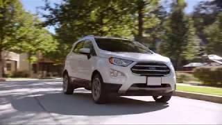 Joe Cotton Ford Advantage