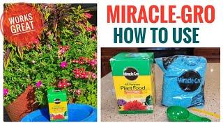 Best Plant Food  Miracle-Gro How To Mix it and Water Your Flowers for Amazing Results