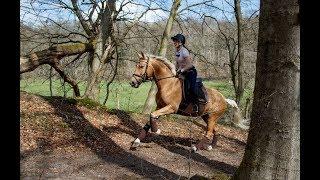 Geländetraining mit Julia Mestern