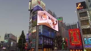 3D billboard in Shinjuku