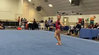 Level 5 Floor Gymnastics 2022, 