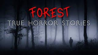 3 True Deep Forest at Night Horror Stories