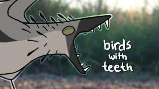 birds with teeth