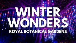 Winter Wonders at the Royal Botanical Gardens: The Most Magical Holiday Lights (Burlington/Hamilton)