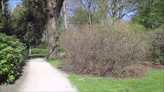 Spaziergang durch den Abraham Ledeboer - Park in  Enschede in der Provinz Overijssel (Niederlande)