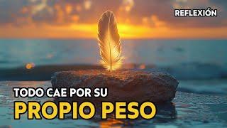 Todo CAE por su propio PESO ¦ Reflexiones de la vida, Amor Propio, Frases, Motivación, Autoestima