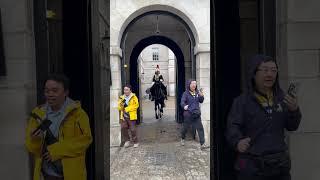 STUPID CHINESE Group INVADED The Horse Box! What Happened Next will SHOCK You