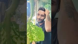 aisi diwangi #bollywood #song #hindisong #love #trending #shorts #short #viral #viral