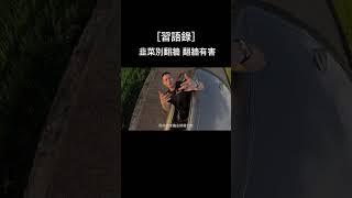 韭菜 韭菜 割韭菜，別翻牆 翻牆有害 #割韭菜 #韭菜 #翻牆