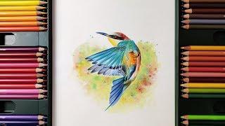 Kingfisher colour drawing | Siddhant's Artwork