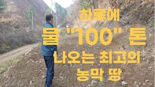 계곡접하고 산책로 있는 청정지역/ 지하수 하루 100톤/ 남향 관리지역 전(밭) / 홍천군 두촌면 장남리 / 137평 3천8백만/145평 사천만 #체류형쉼터#농막#이동식주택