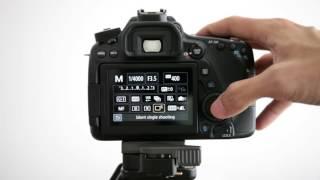 Canon EOS 80D Shutter Sounds