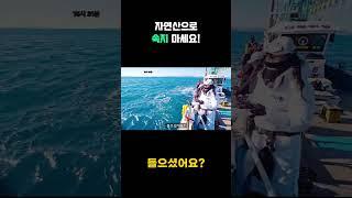 자연산으로 속지 마세요 #타이라바낚시#진해더블피싱#참돔낚시 #낚시방송 #먹방 #시화방조제야간원투낚시