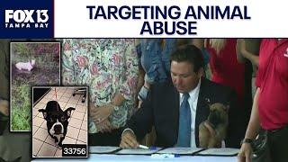DeSantis signs Florida animal abuse bills into law