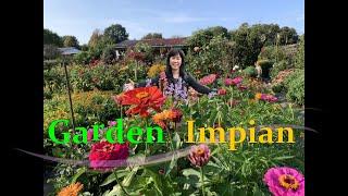 BEAUTIFUL GARDEN  -   My Dream Garden /  Kebun Yang Cantik - Kebun Impian