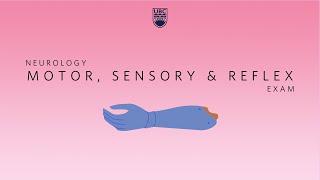 Neurology: Clinical Skills - Motor, Sensory, & Reflex Neurological Exam #neurology #ubcmedicine