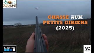 Chasse petits gibiers 2025 (Perdreaux, faisans et bécasses)